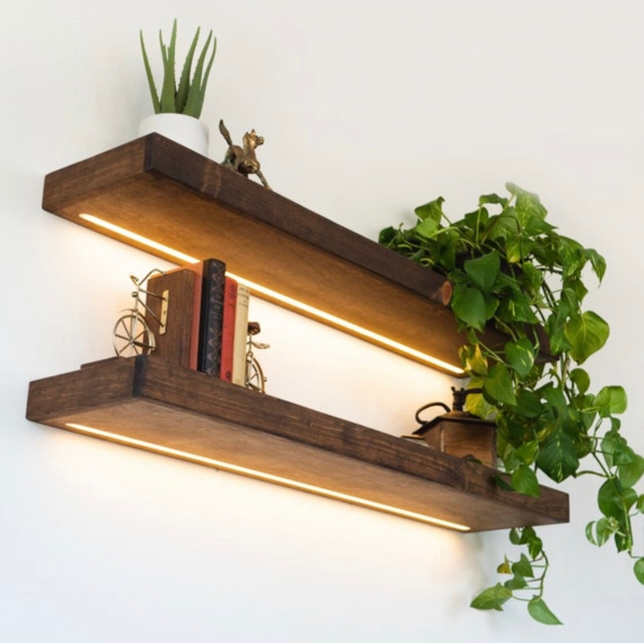 LED Shelves